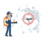 Flea Control Brisbane