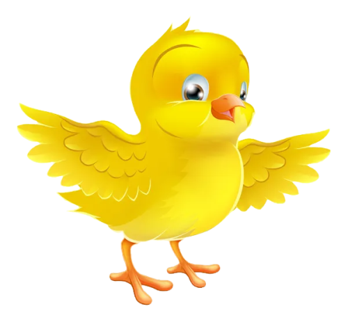 Flour Chicks Bakery