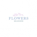 Flowers Belvedere