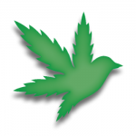 Flyhi Cannabis Dispensary - Aurora