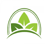 https://foodpackagingdirect.co.uk/material/biodegr