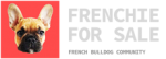 Frenchie for Sale