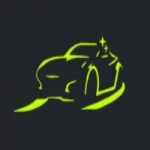 Fresh Window Tinting