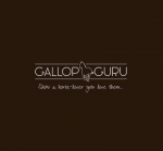 Gallop Guru