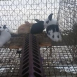 General Hardware &amp; Supply