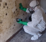 AAA Water damage and Mold Removal