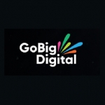 GoBig Digital Ltd