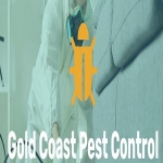 Gold Coast Pest Control