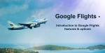 Google Flights