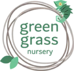 Best Nursery in Dubai | Green Grass Nursery