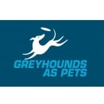Greyhounds As Pets
