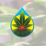 Green Solutions Garden Supply