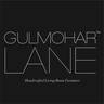 Gulmohar Lane