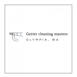 Gutter Cleaning Masters