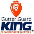 Gutter Guard King