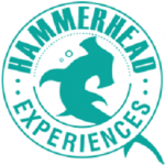 hammerhead