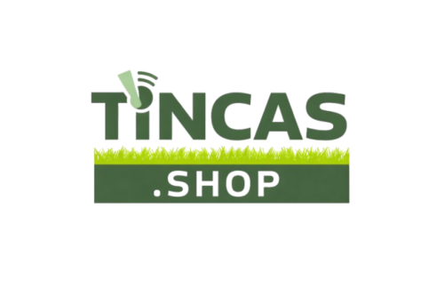 Tincas Ltd