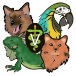 Animal Medical Hospital of Centereach
