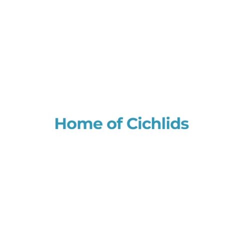 Home of Cichlids