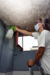 Las Vegas Mold Remediation Co.