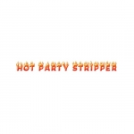 Hot Party Miami Strippers