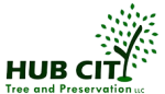 Hub City Tree and Preservation