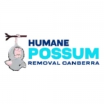 Humane Possum Removal Canberra