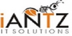 iAntz IT Solutions