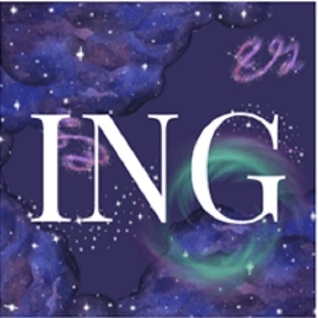 ING Design LTD