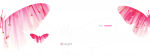 Insight Communication & Design