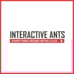 Interactive Ants