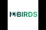 IQ BIRDS