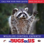 Its Bugs Or Us Pest Control - Fort Worth