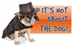 Its Not About the Dog