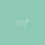 Ivy Cleans Minneapolis