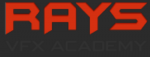RAYS ACADEMY