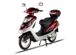 motorizedscootersite.com