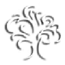 The Health First Group