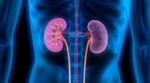Live Donation Kidney