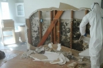 Local Mold Removal &amp; Water damage service
