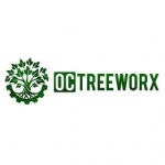 Fullerton Tree Experts