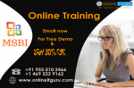 OnlineITGuru