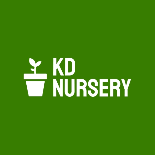 KD Nursery