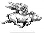 Galerie Flying Pig