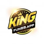 Kingfun