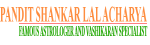 Love Vashikaran Specialist