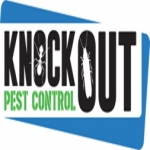 KnockOut Pest Control - The Beaches