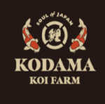 Kodama Koi Farm