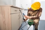 Residential Pest Control in Los Angeles