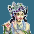 Krishna Packaging